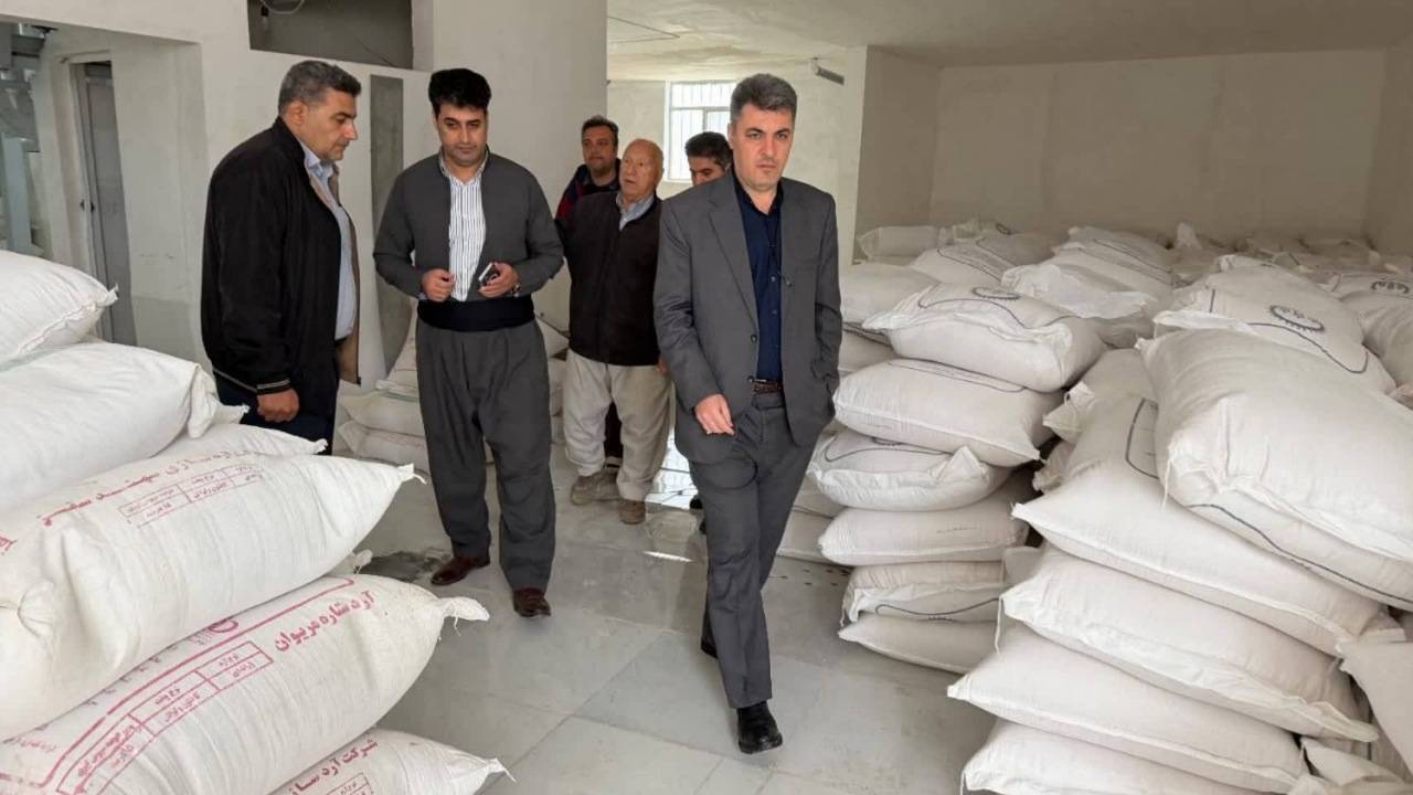 هیچ کمبودی در تأمین آرد و مواد غذایی وجود ندارد