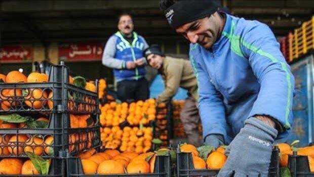 ۲۳۰ تن میوه شب عید در هرمزگان ذخیره‌سازی شده است