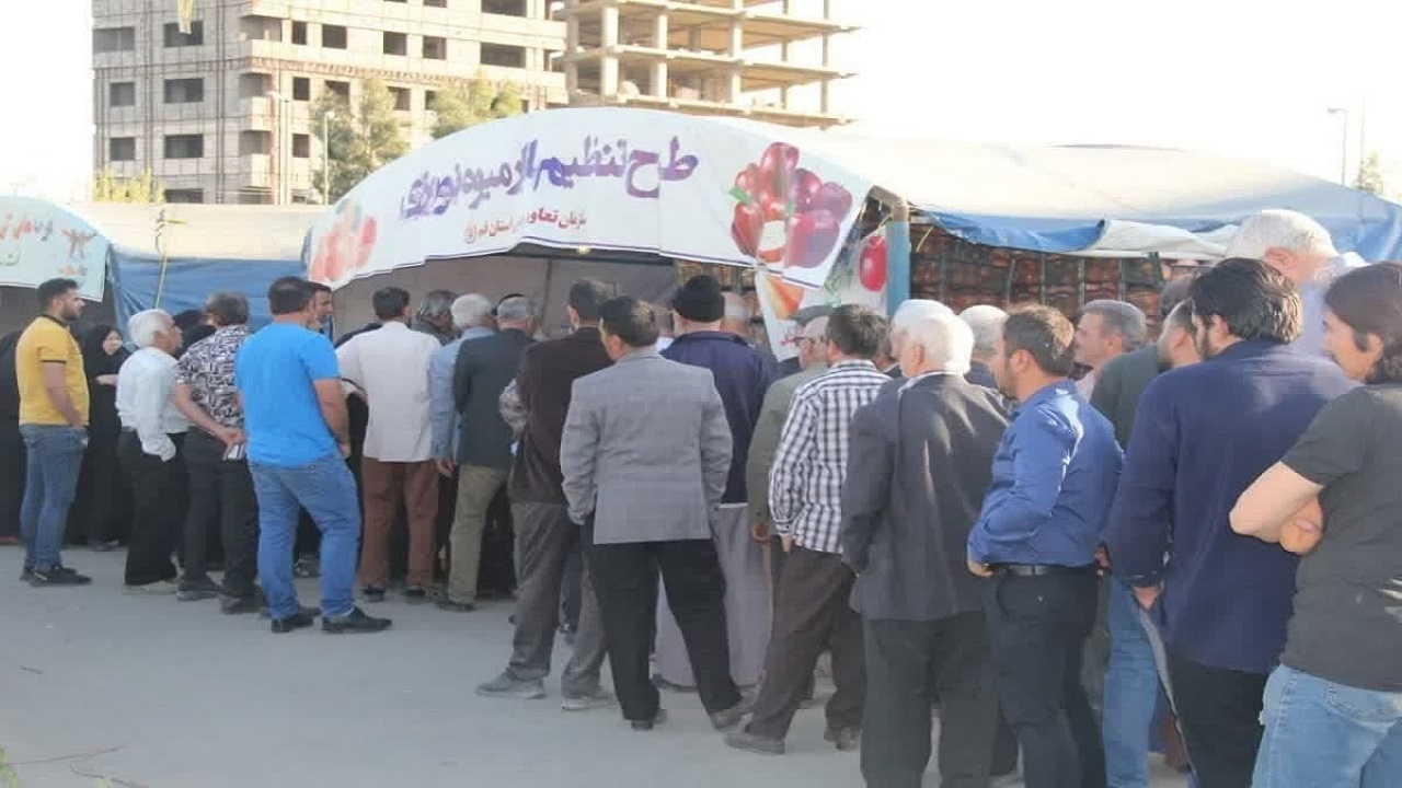 اعلام مراکز توزیع میوه تنظیم بازاری شب عید در قم