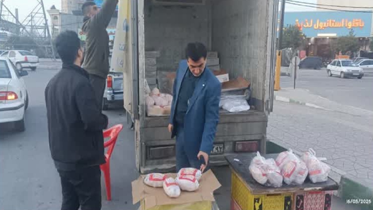 توزیع مرغ منجمد ۲۱۵ هزار تومانی در بابل؛ نظارت بر بازار با بازدید میدانی مسئولان