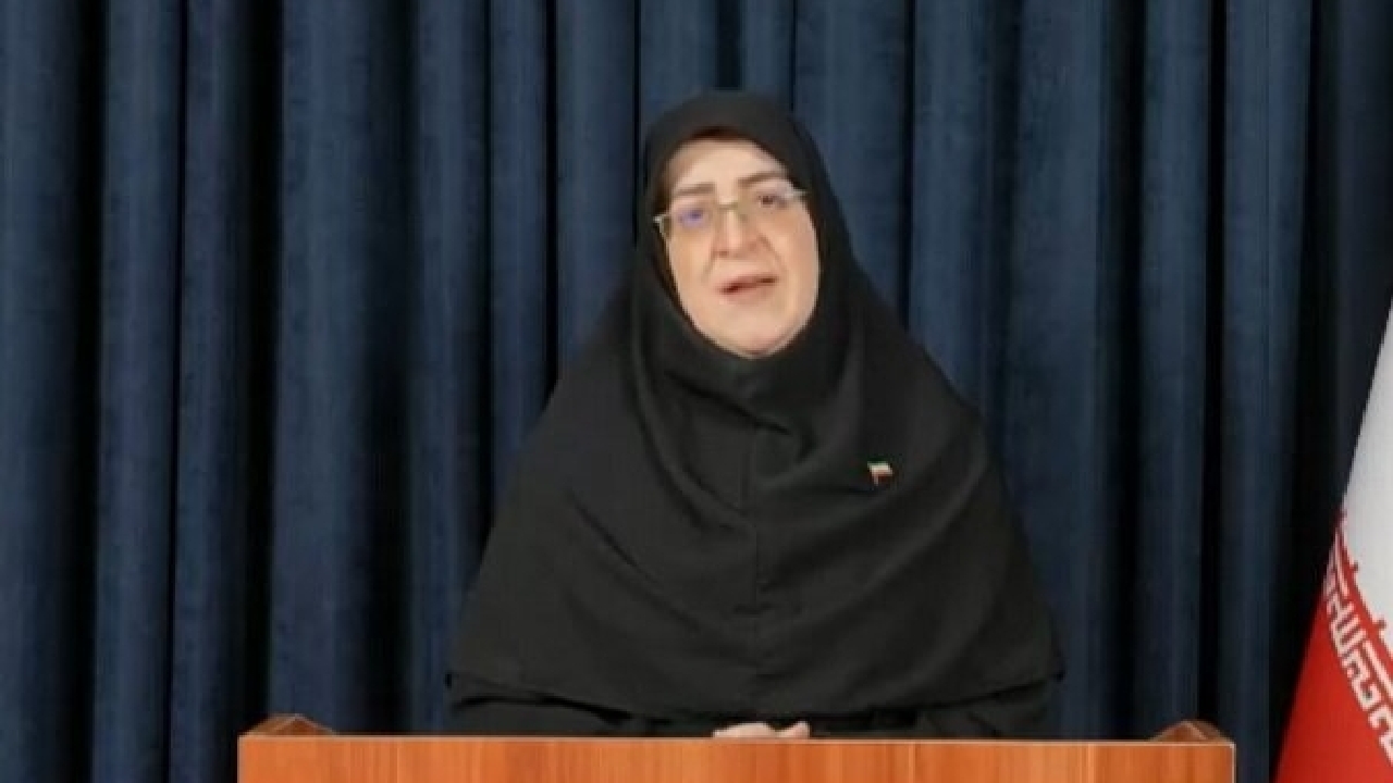 سخنگوی دولت: فعالیت شبکه سوخت پایدار است