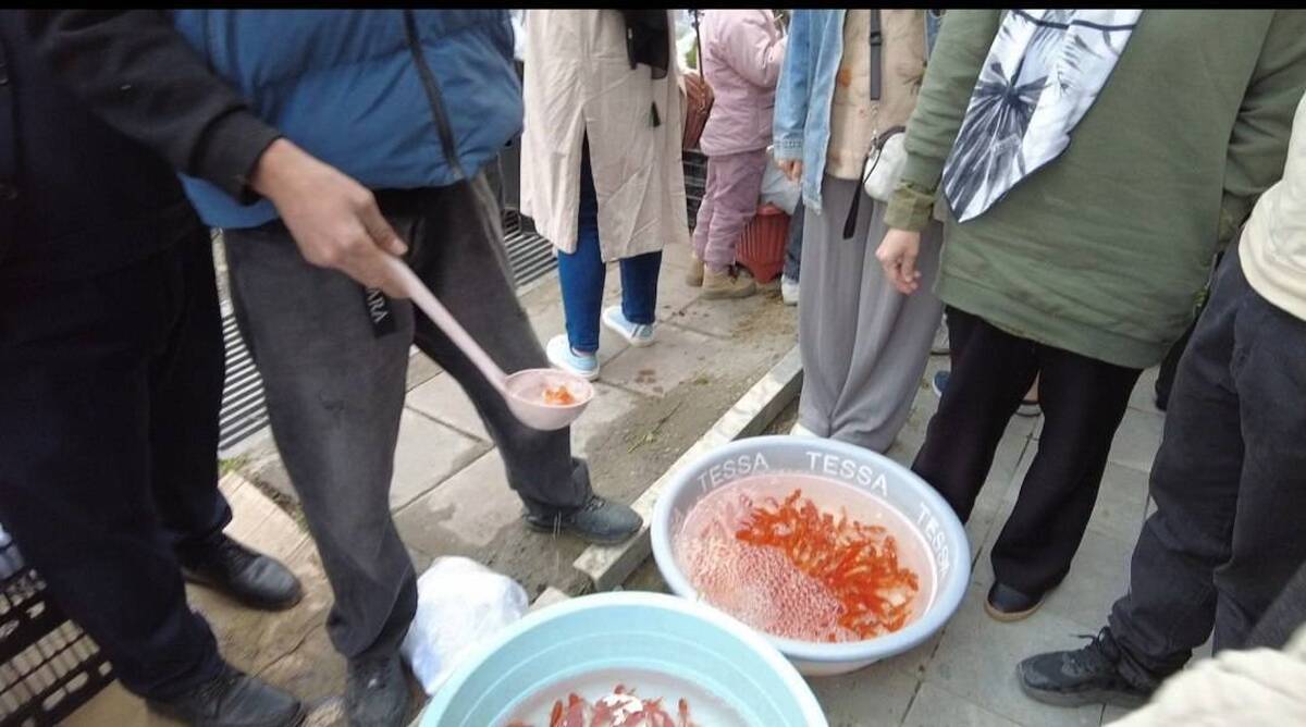 باشگاه خبرنگاران -آرامش بازار در واپسین روز سال؛ تأکید مسئولان بر وفور کالا و استمرار نظارت‌ها

  