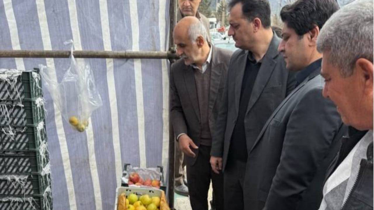 اصلاح روند توزیع میوه شب عید در کردستان با ورود بازرسی کل استان