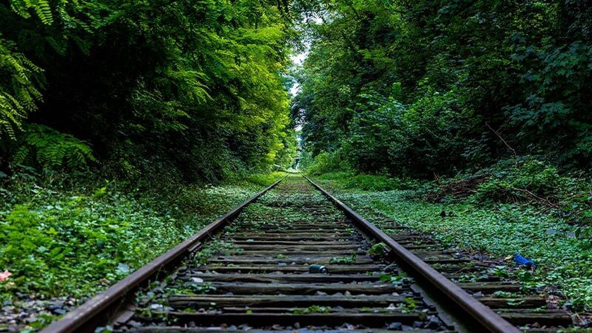 باشگاه خبرنگاران -تاریخ پیش فروش بلیط قطار نوروز ۱۴۰۵ اعلام شد