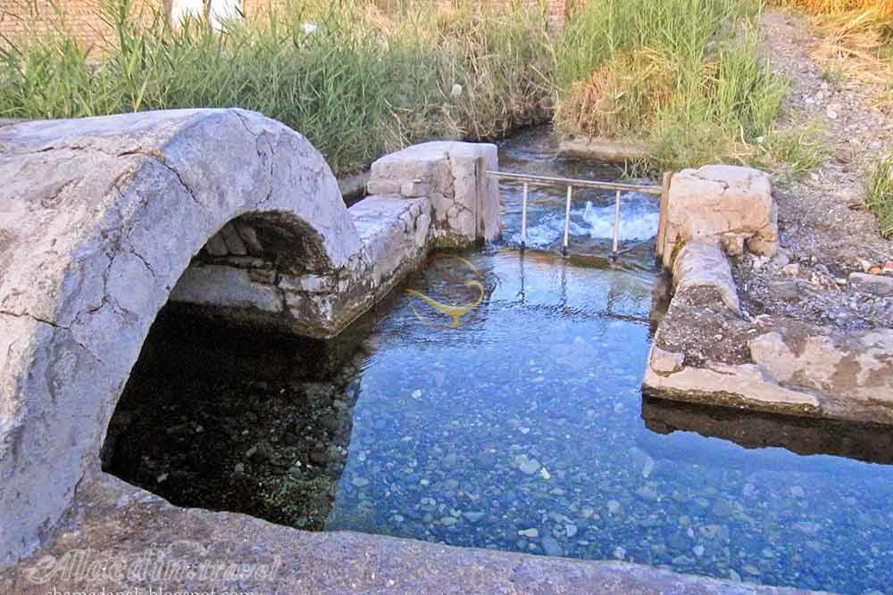 بم؛ طلوع زندگی در سایه ارگ خشتی + تصاویر