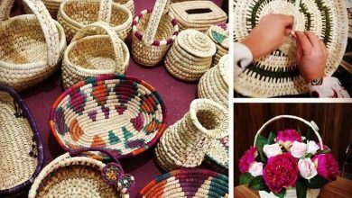 بم؛ طلوع زندگی در سایه ارگ خشتی + تصاویر
