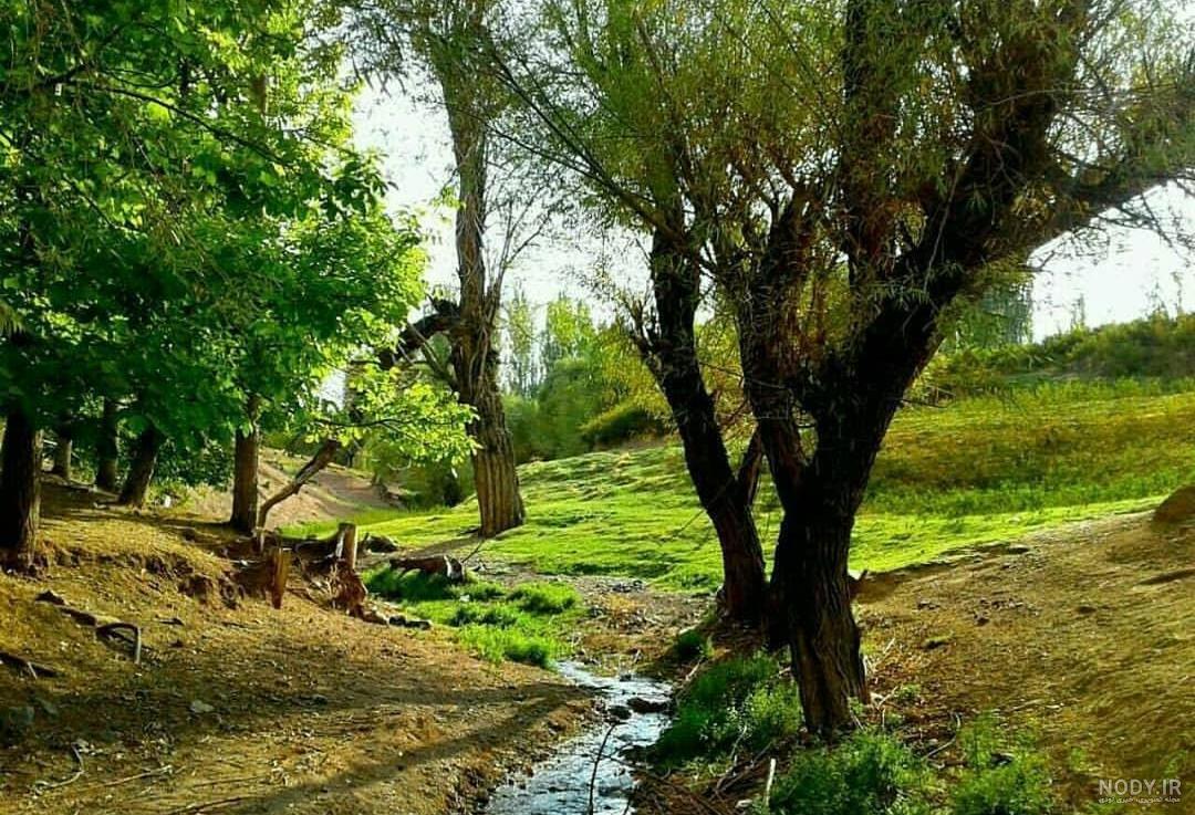 بم؛ طلوع زندگی در سایه ارگ خشتی + تصاویر