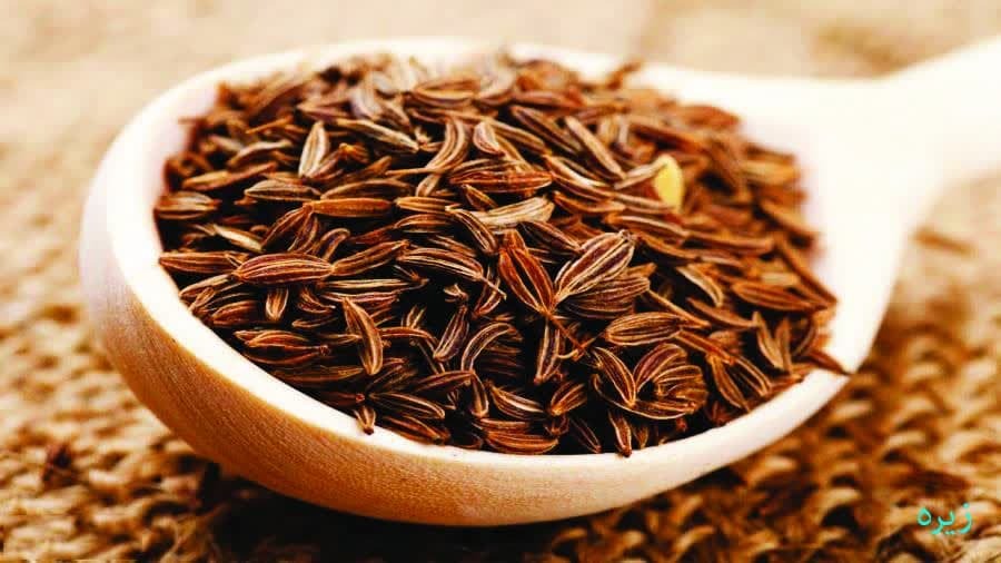 بم؛ طلوع زندگی در سایه ارگ خشتی + تصاویر