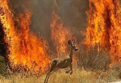 منتشر نشو فعلا لطفا منتشر نشو فعلا لطفا