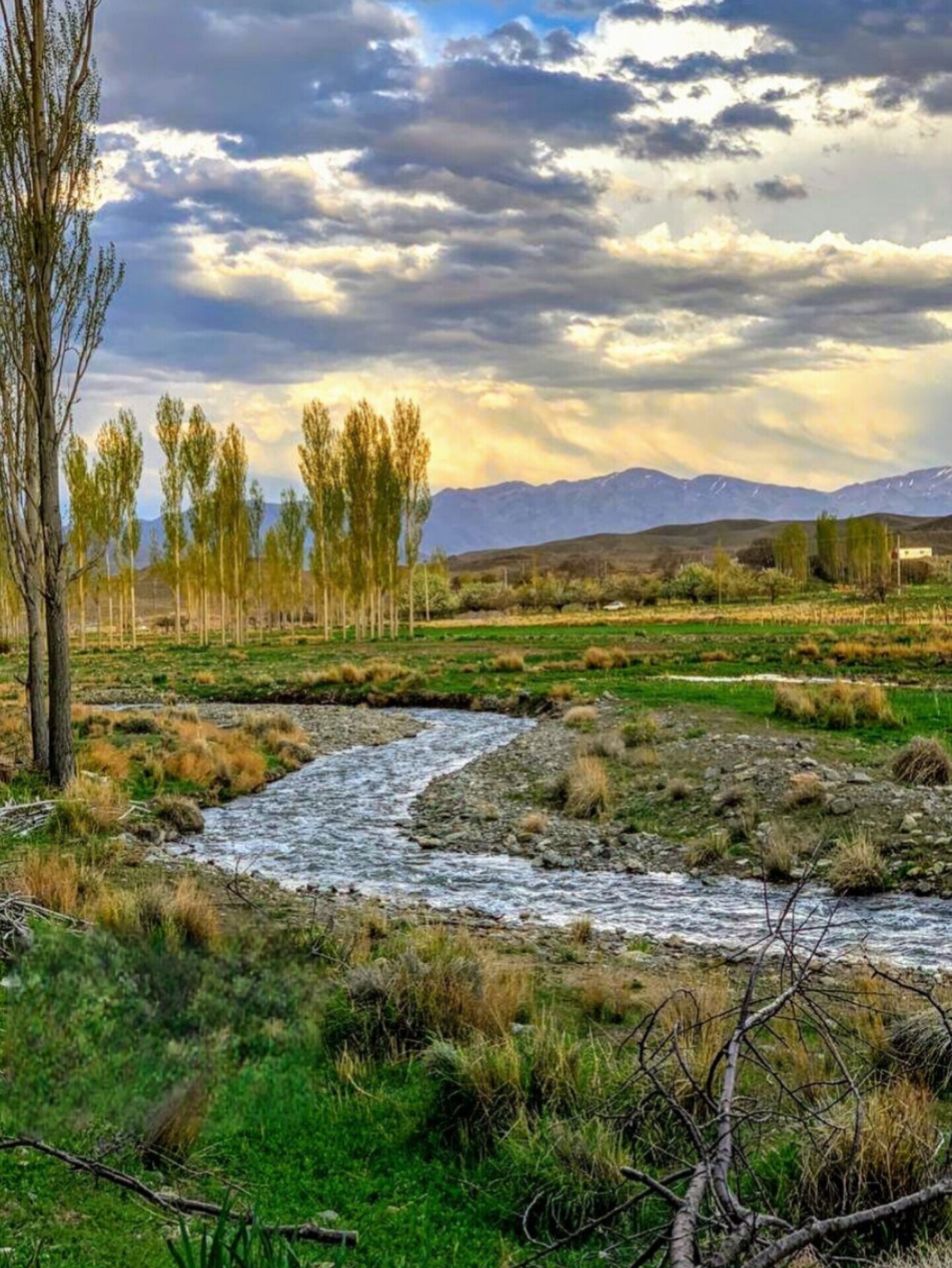 جیرفت؛ هزارتوی تاریخ در کرانه هلیل + تصاویر