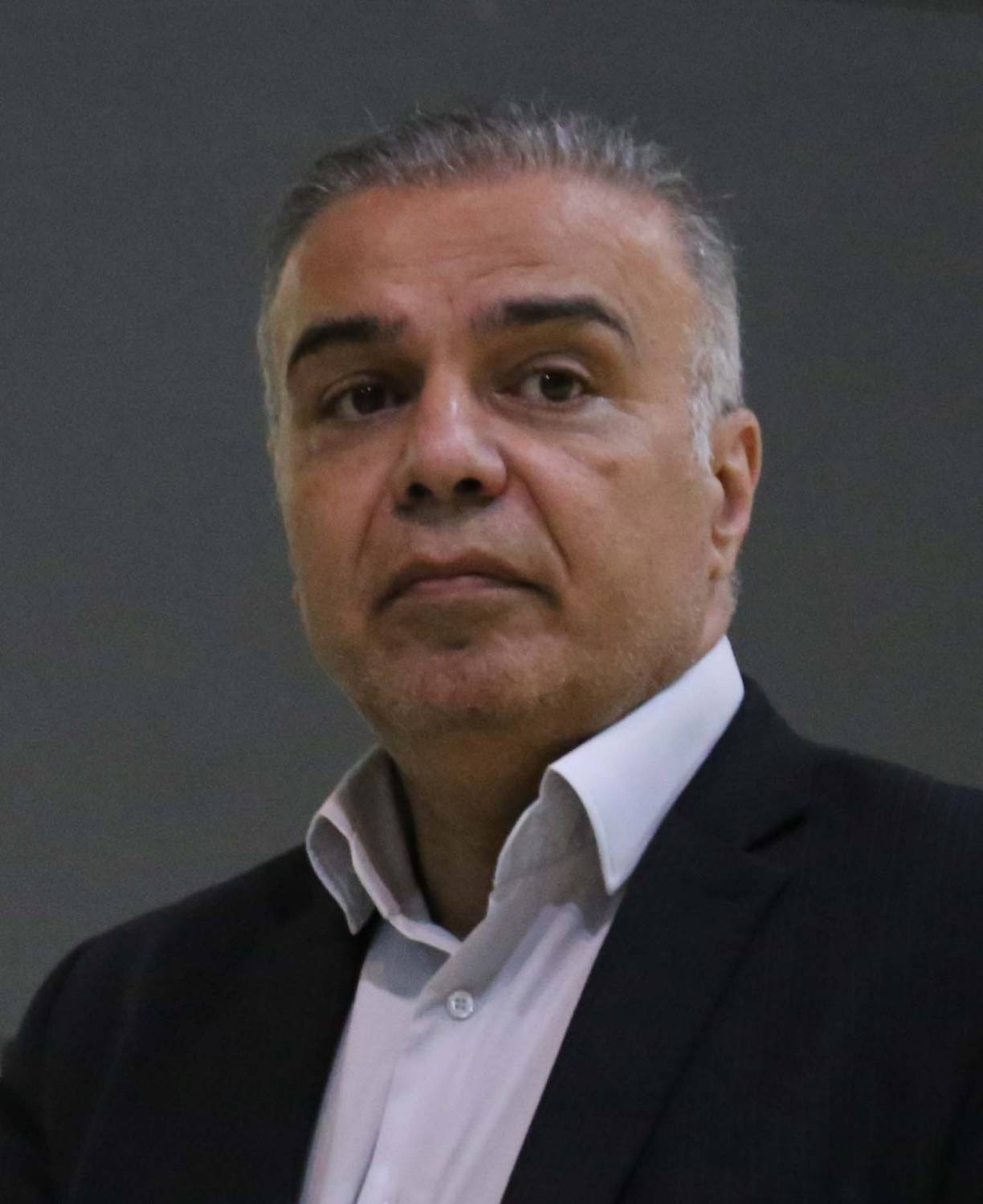 شبیهی