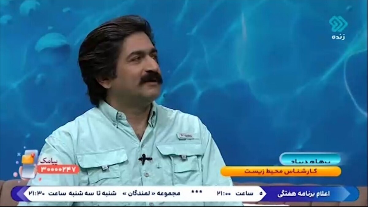 باشگاه خبرنگاران -اهمیت مرجان‌ها در حفظ محیط زیست + فیلم