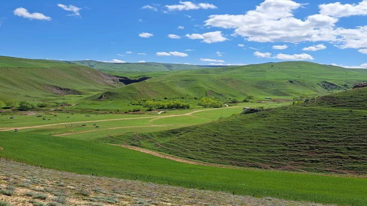 گردش یک روز بهاری در روستای گردشگری لاله گرمی + عکس