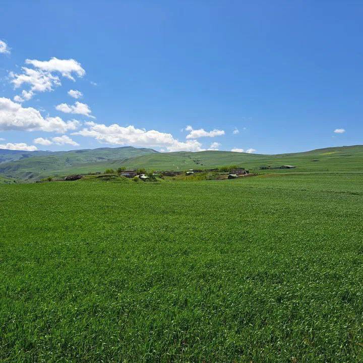 گردش یک روز بهاری در روستای گردشگری لاله گرمی