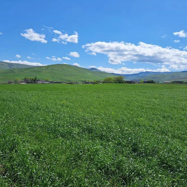 مناظر بهاری