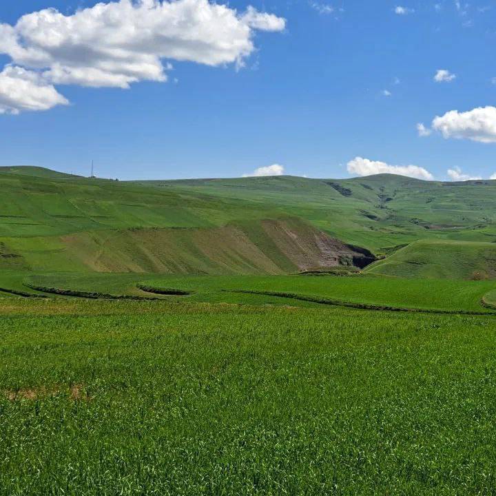 گردش یک روز بهاری در روستای گردشگری لاله