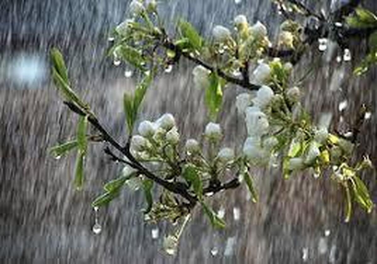 دلیل خواب‌آلودگی زیاد در فصل بهار + فیلم