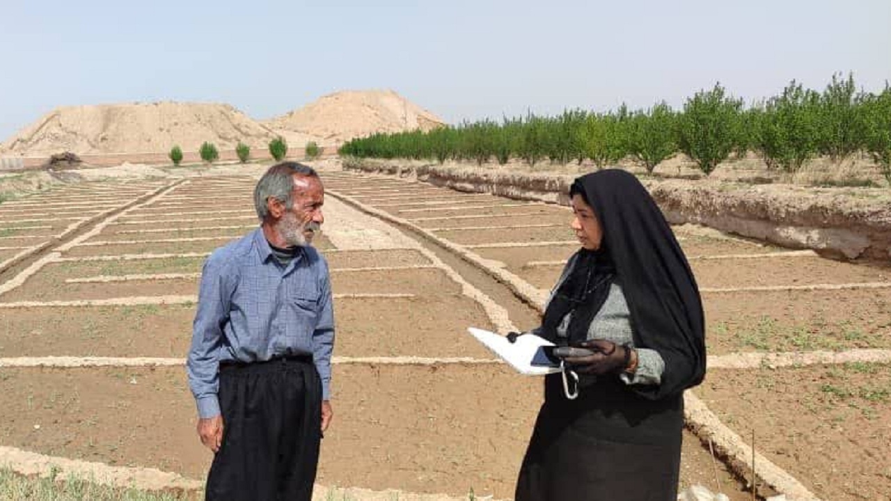 ثبت موقعیت مکانی مزارع سبزی و صیفی در اسکو
