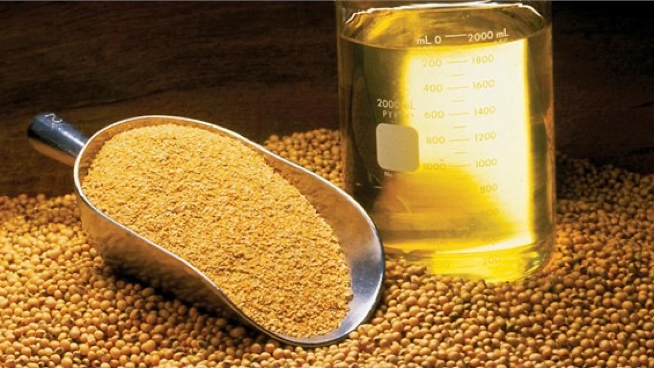 ترخیص روغن‌های وارداتی از گمرک منوط به خرید دانه‌های روغنی داخلی شد