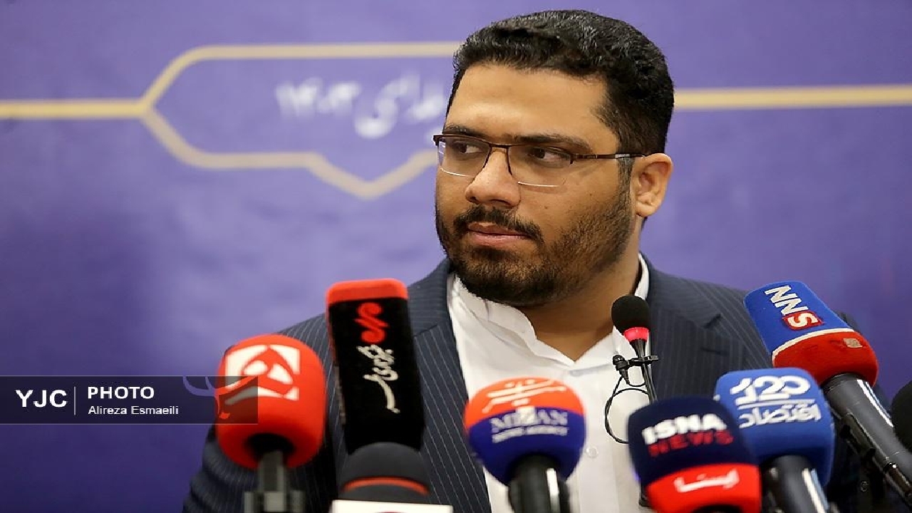 عدم توزیع گوشت تنظیم بازار تصمیم دولت بود