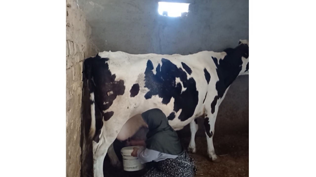 لذت سفر به روستای لوشکان در یک روز بهاری+ فیلم