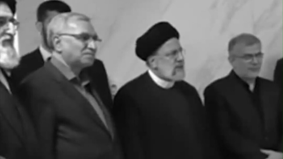پدر شهر + فیلم