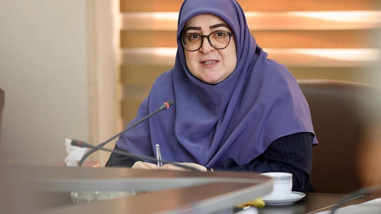 با دستور رئیس‌جمهور فعالیت پتروشیمی میانکاله متوقف شد
