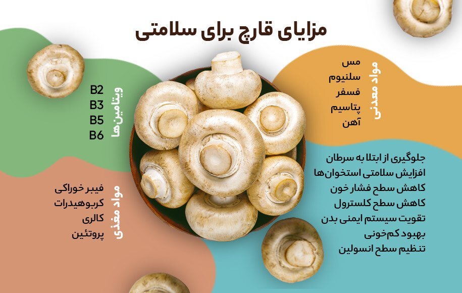 قارچ&zwnj;های بهاری که طعم مرگ دارند!