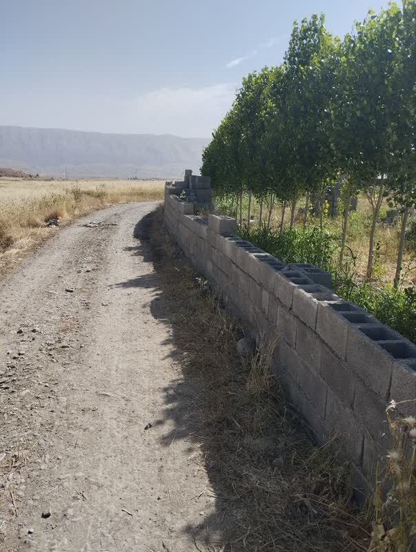 مشکلات برداشت گندم در روستای هاشم آباد شهرستان دره شهر مشکلات برداشت گندم در روستای هاشم آباد شهرستان دره شهر