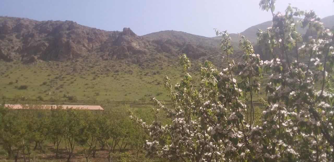 طبیعت بهاری روستای جغدان