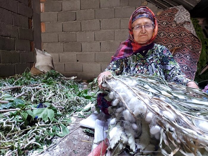 روزی مرزنشینان خراسان&zwnj;شمالی از دل پیله