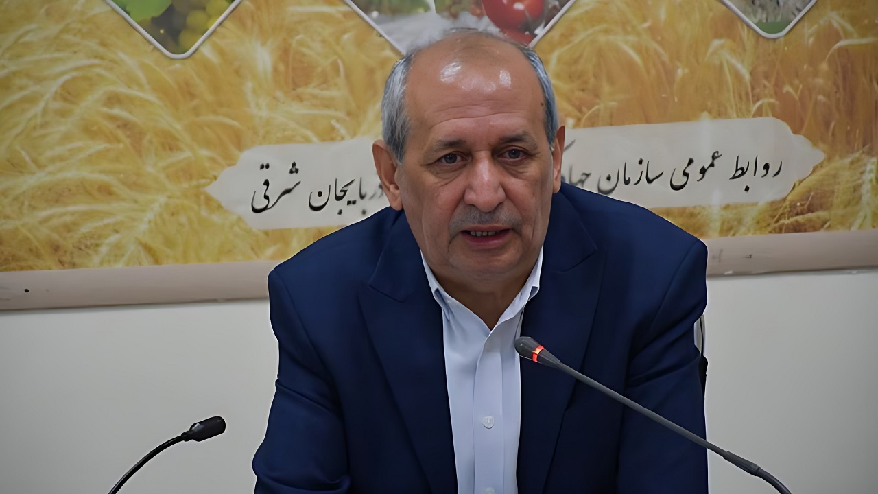 کاهش شدید بارندگی و سرمازدگی، مزارع گندم استان را درگیر خسارت‌های سنگین کرد