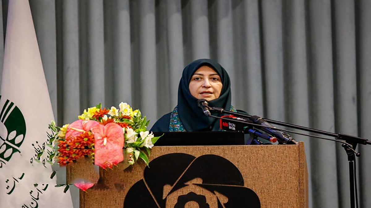 باشگاه خبرنگاران -۳ پیشنهاد رئیس سازمان حفاظت محیط زیست برای نجات دریای خزر