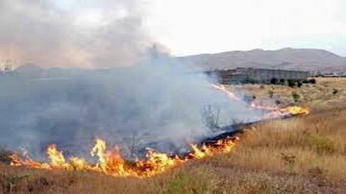 باشگاه خبرنگاران -آتش ۶۰ هکتار از مزارع گندم و جو گیلانغرب را خاکستر کرد