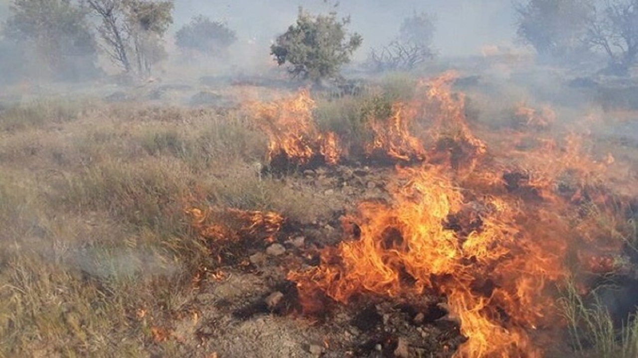 آتش‌سوزی گسترده در پارک ملی دز/ آتش‌کنترل شد