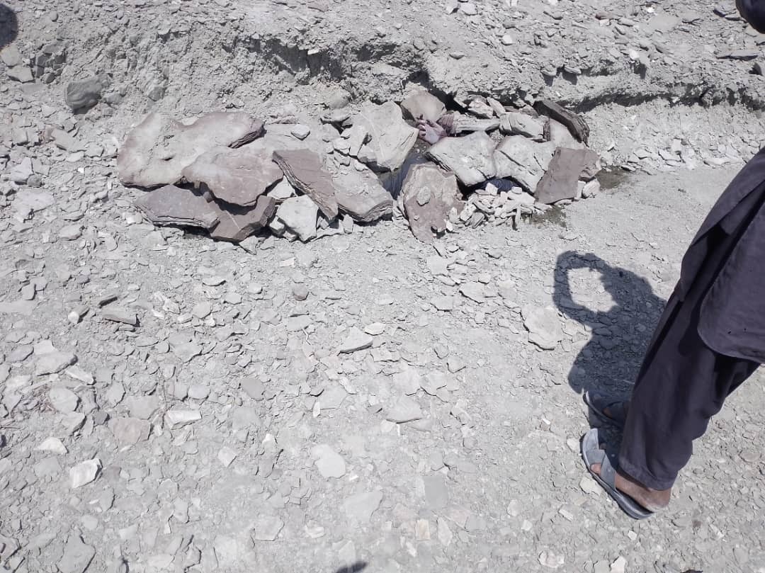 شناسایی قاتلان راننده جاسکی