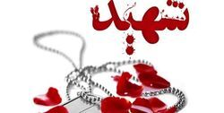شهادت مرزبان هرمزگانی در خلیج فارس