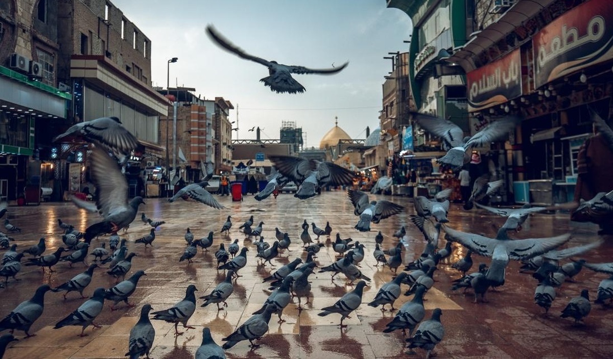 باشگاه خبرنگاران -یونسکو ساکت و بی‌تفاوت نباشد