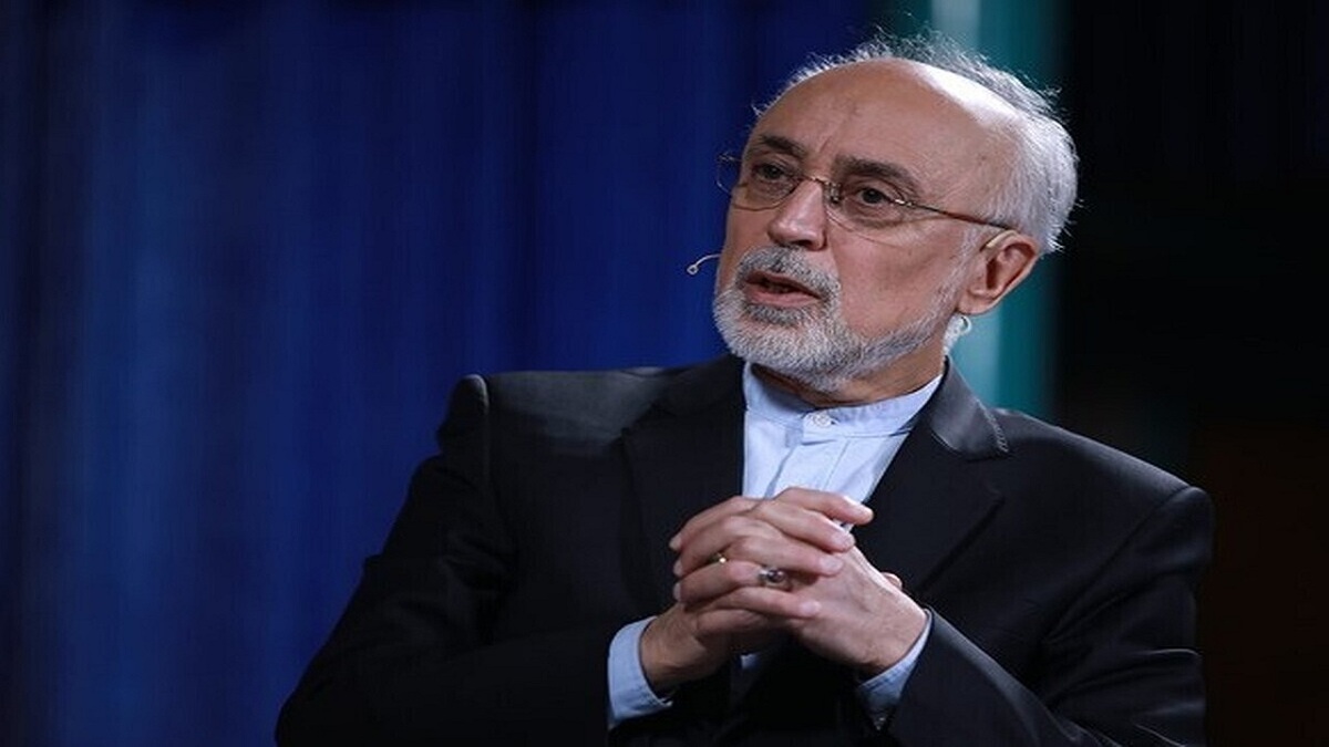باشگاه خبرنگاران -ایران هیچ کاری خلاف تعهدات پادمانی خود نکرده است/ باید از تجربه برجام استفاده کنیم
