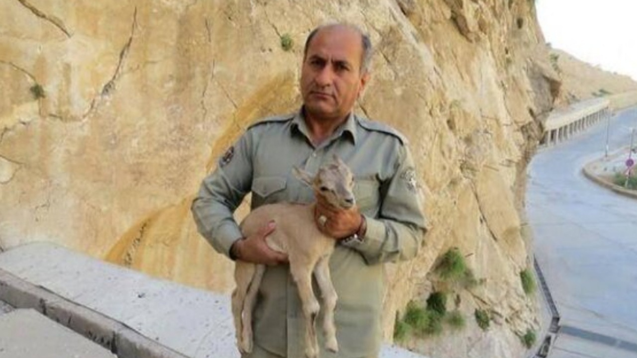 دومین قاتل شهید دیده‌بان دستگیر شد