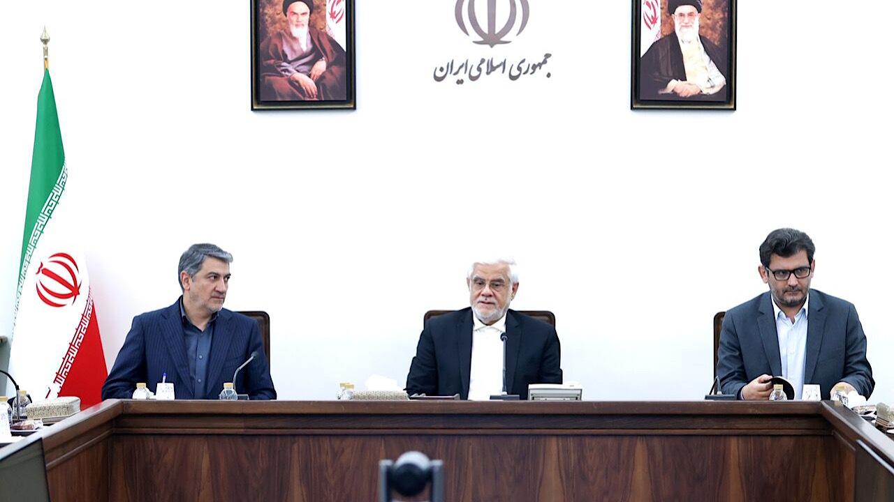 عارف: بخش خصوصی با وجود نوپا بودن در کشور خوش درخشید