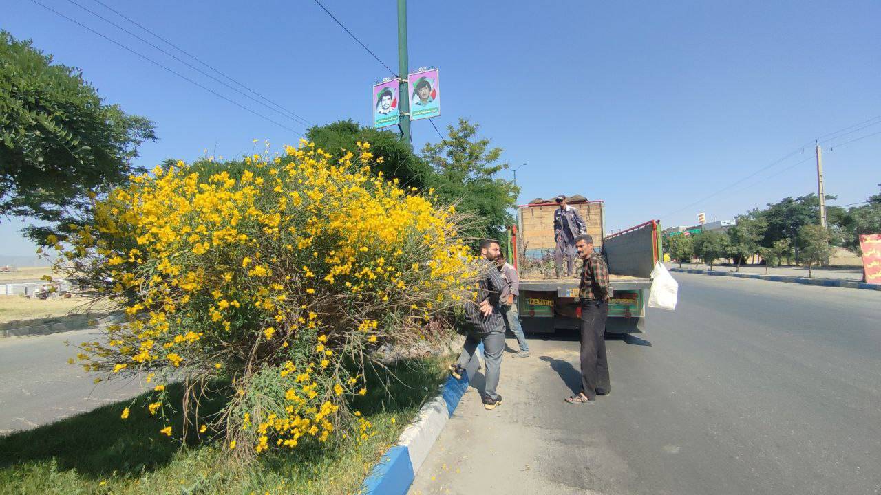 عطر افشانی صالح آباد با کاشت گل