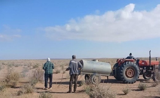 مبارزه و شناسایی در حال انجام است