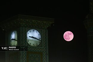 ماه توت فرنگی