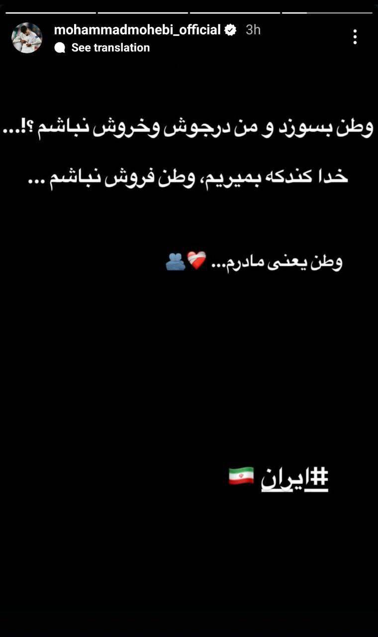 محمد محبی