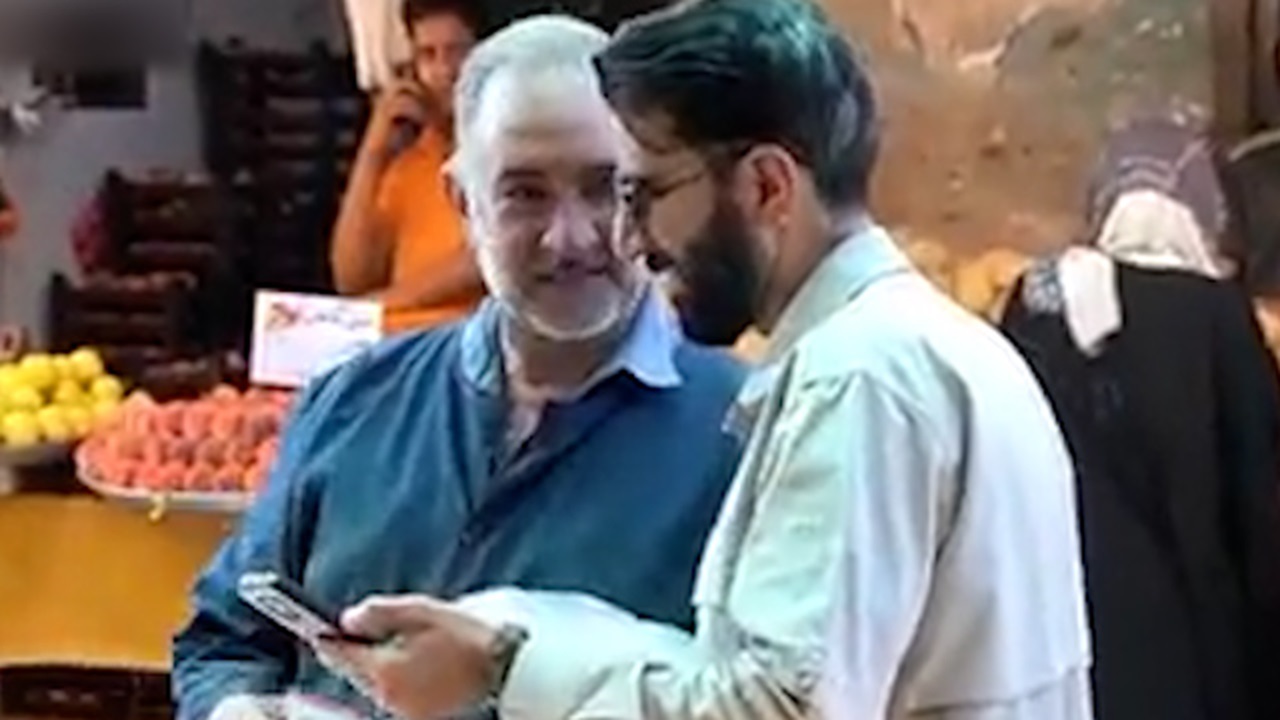 شخم بزنید، آفتابگردون بکارید! + فیلم