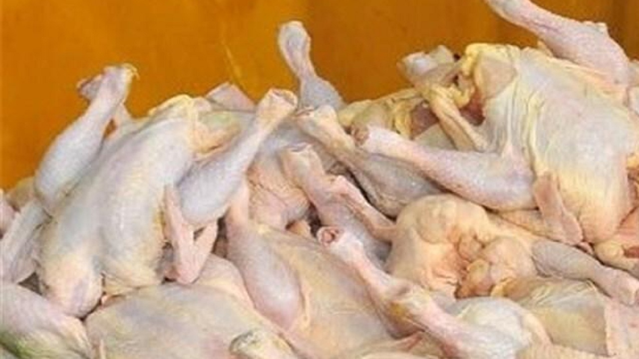 تولید گوشت مرغ بیش از نیاز در آذربایجان شرقی