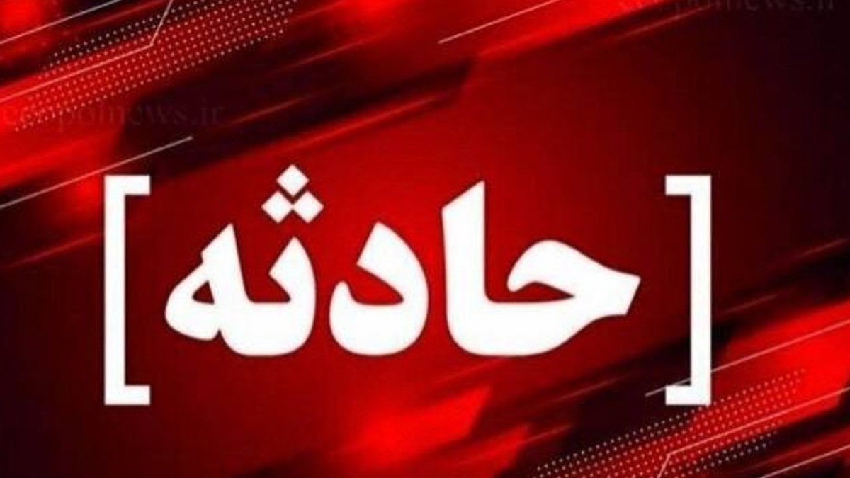ماجرای خرس گمشده در پردیسان + فیلم