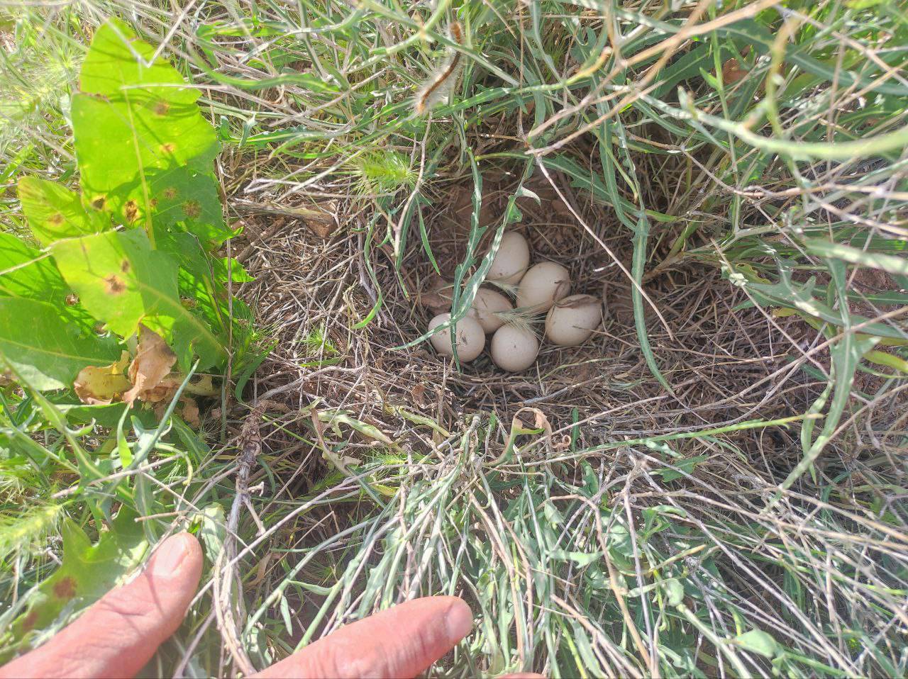 سفری به روستای گردشگری توآباد