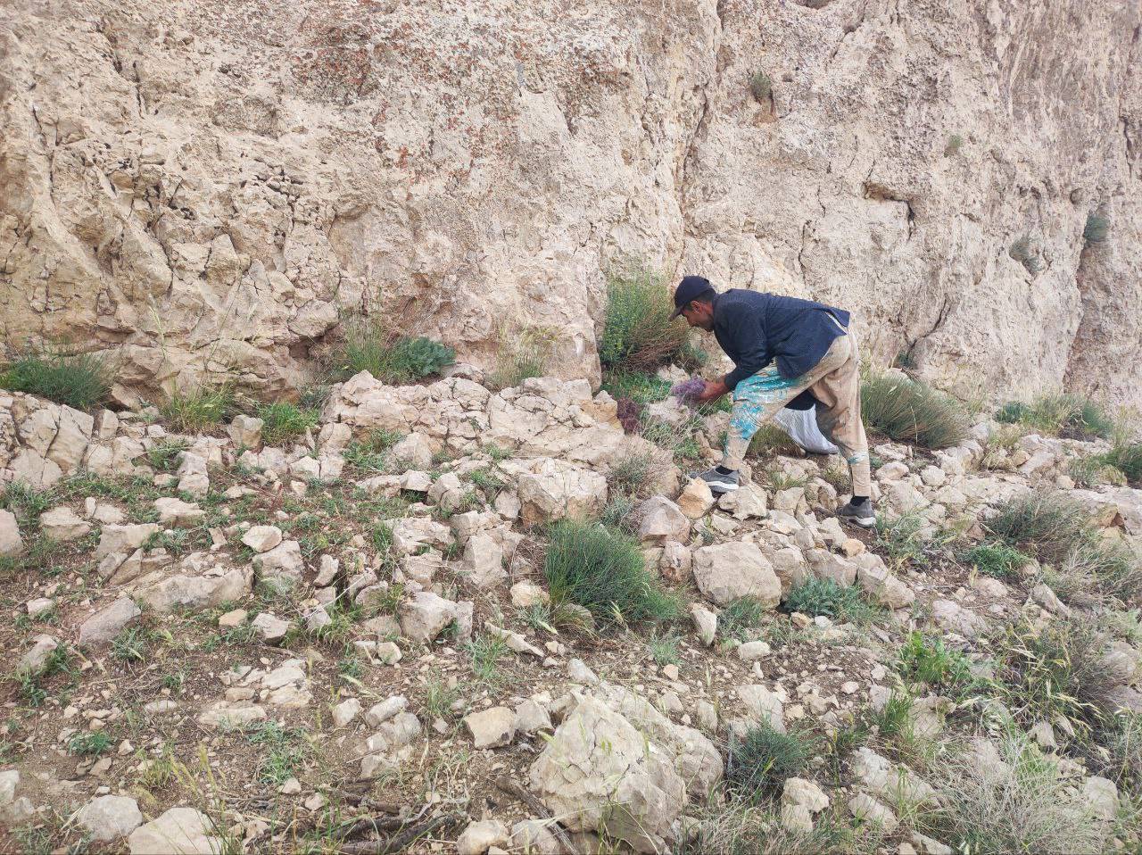 مناظر روستای گردشگری توآباد